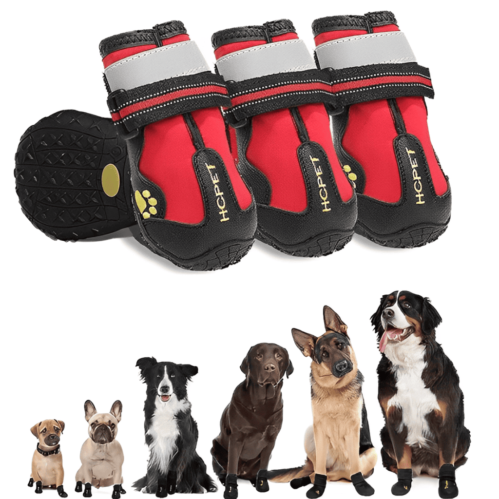 Dog wearing four waterproof paw boots on snowy outdoor path