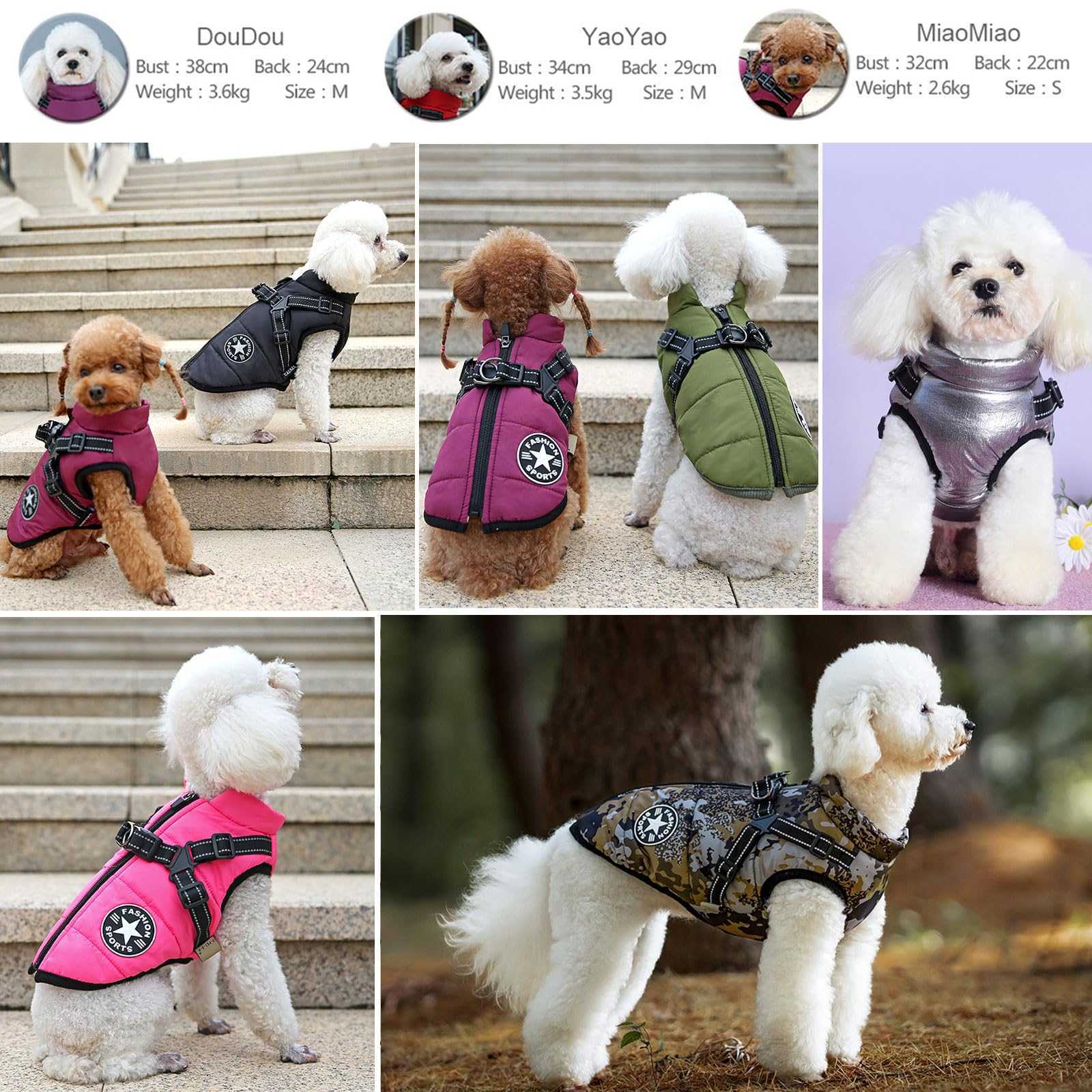 3-in-1 Dog Winter Jacket – Water-Resistant Coat with Fleece Lining