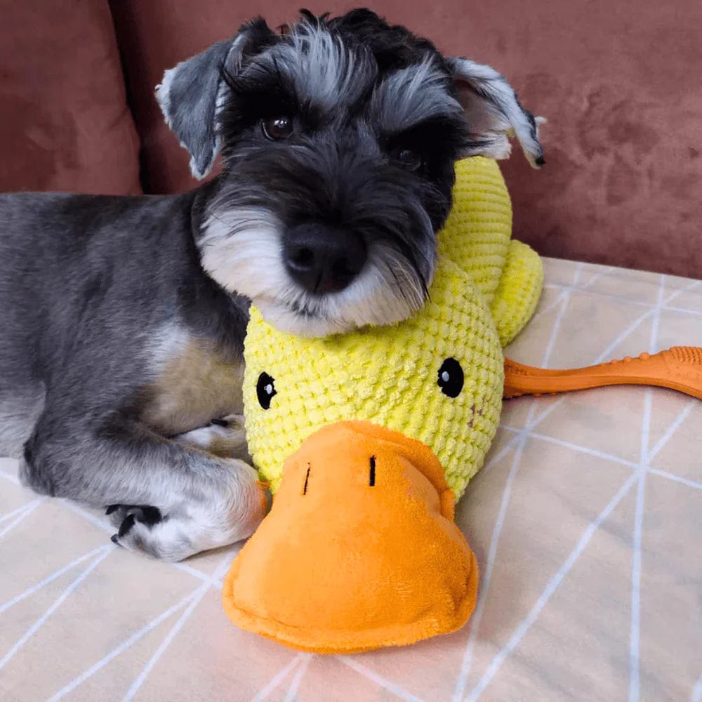 Calming Duck Dog Toy – Quack & Comfort Fun