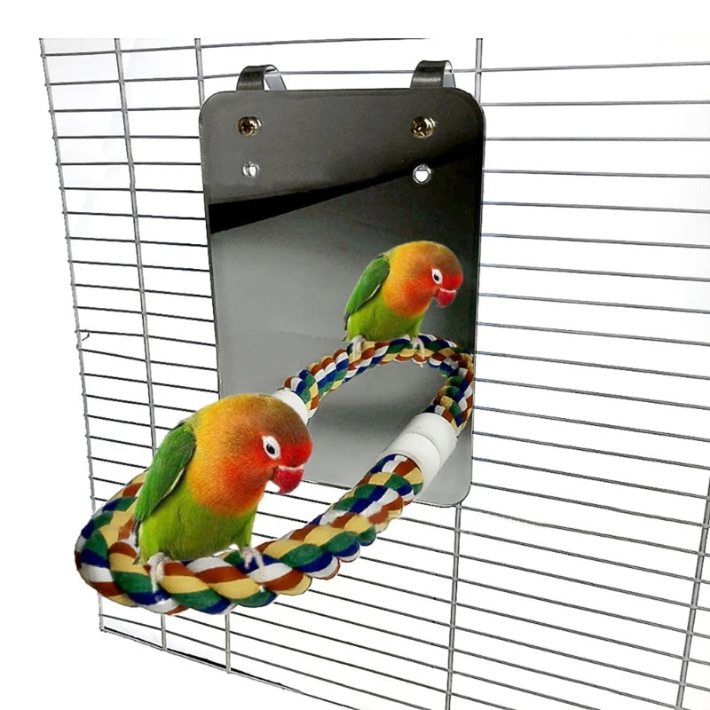 Macaw Interactive Play Toy with Mirror – Fun, Exercise & Mental Stimulation