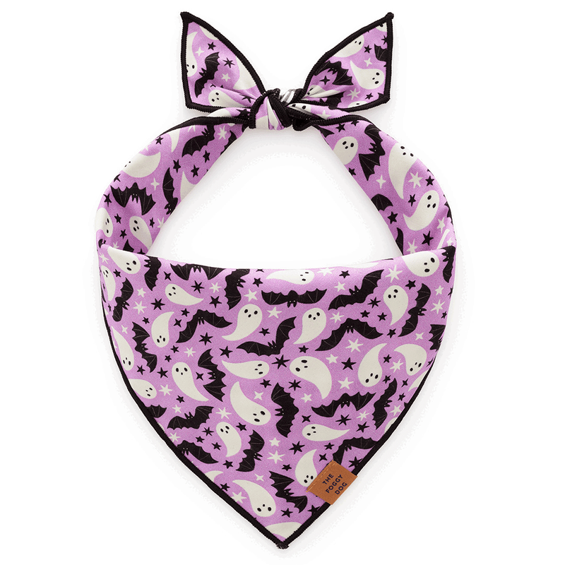 Spooky Season Reversible Dog Bandana – Two Styles in One