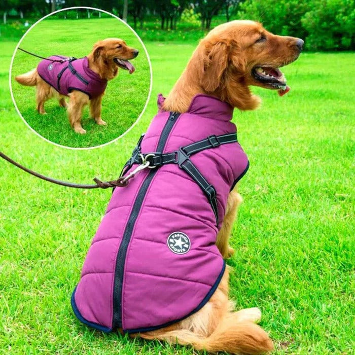 Waterproof Winter Dog Jacket with Sherpa Lining and Built-In Harness