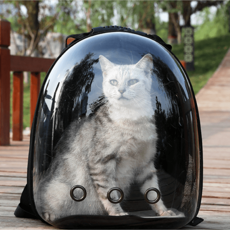 Pet Carrier Backpack – Transparent Panoramic Window for Cats & Dogs