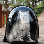 Pet Carrier Backpack – Transparent Panoramic Window for Cats & Dogs