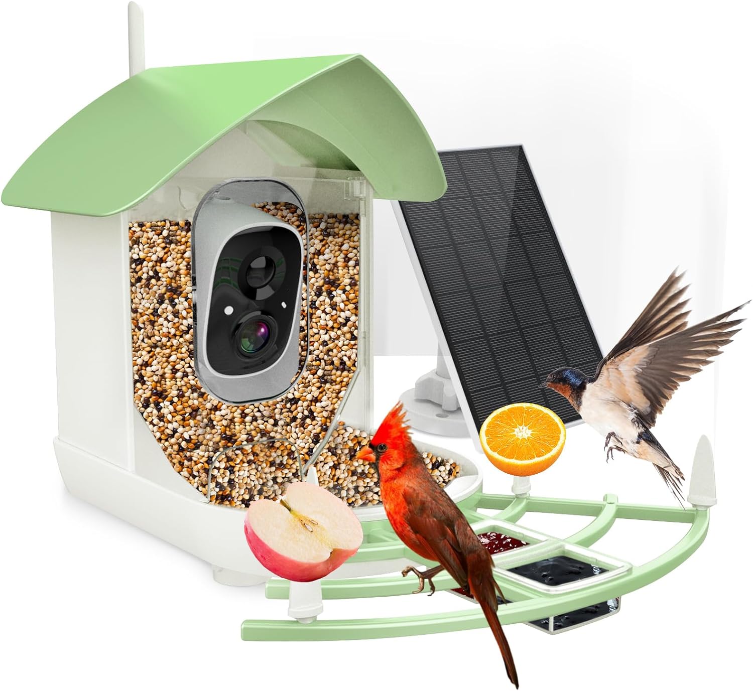 Smart Bird Feeder Camera – Solar Powered, AI Bird ID & Real-Time Alerts