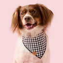 Spooky Season Reversible Dog Bandana – Two Styles in One
