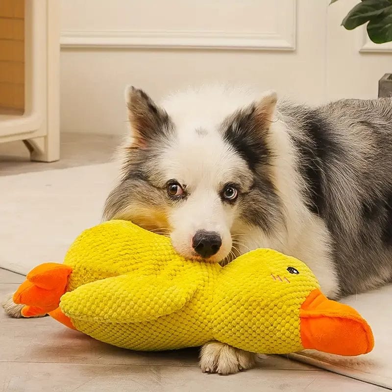 Calming Duck Dog Toy — Gentle Quack Play & Comfort