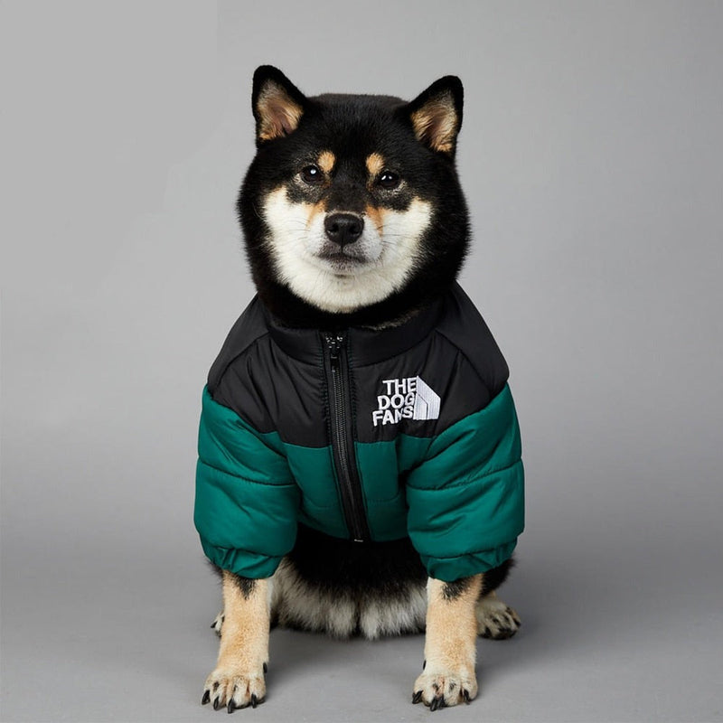 The Dog Fans Thermal Jacket – Keep Your Dog Warm in Style