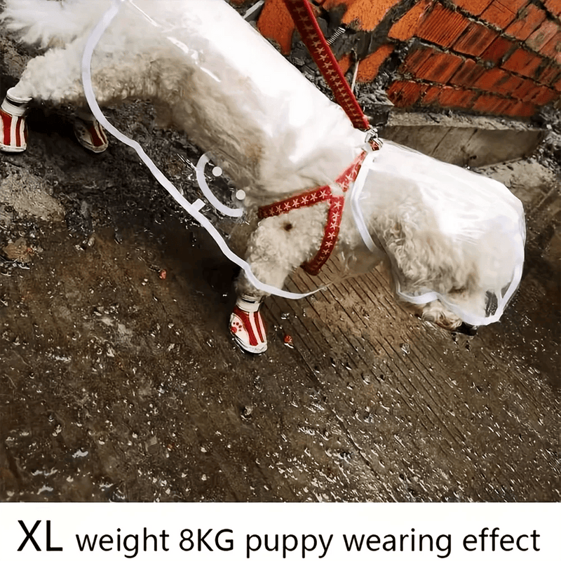 Clear Dog Raincoat with Hood