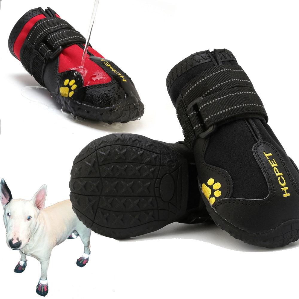 Waterproof non-slip dog shoes in orange on small dog during walk