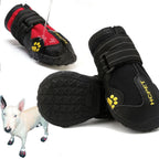 Waterproof non-slip dog shoes in orange on small dog during walk