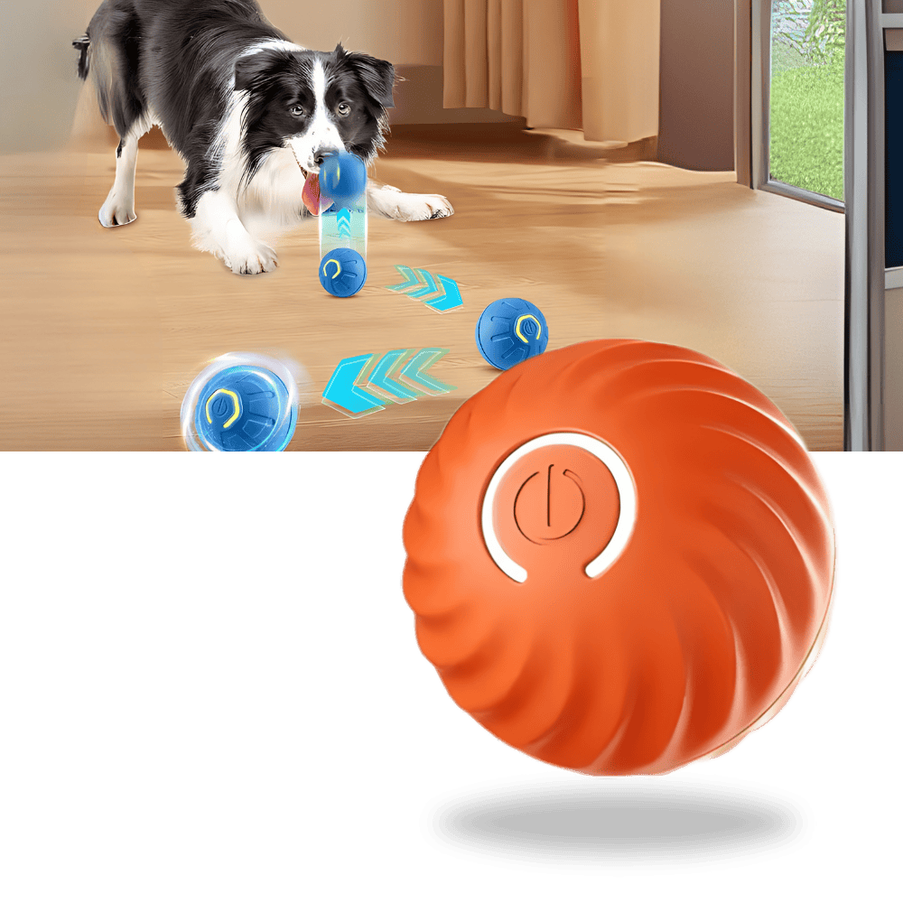 Smart Dog Ball – Obstacle Avoidance Play