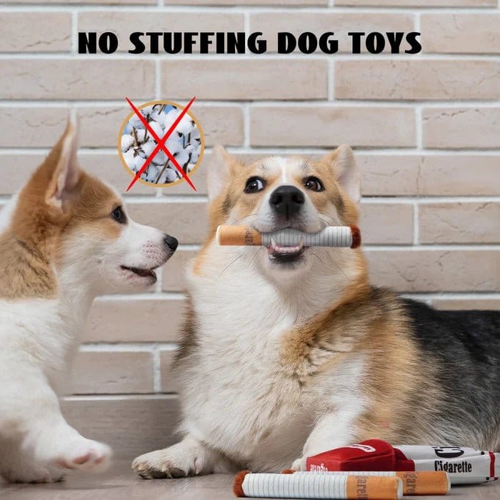 Plush Novelty Dog Toy Set — Stuffing-Free Soft Chew Toys for Indoor Play