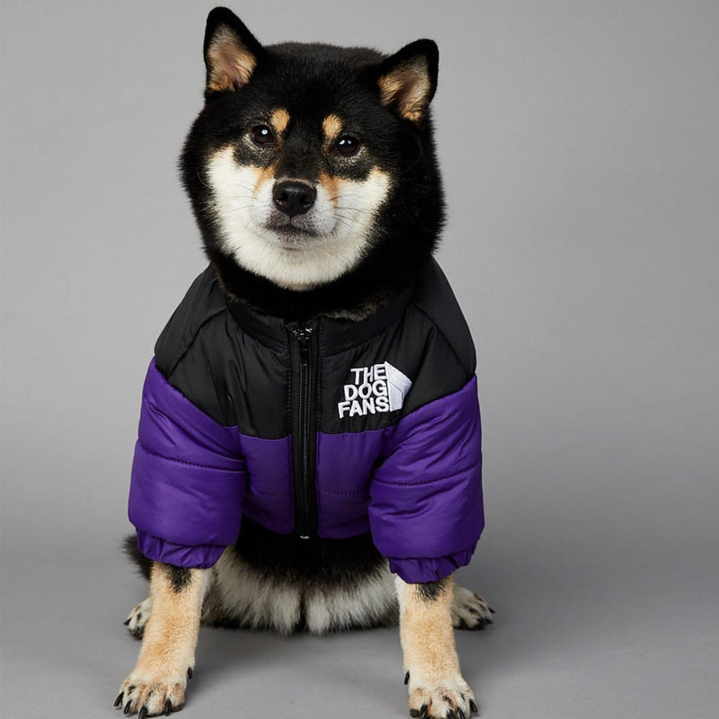 The Dog Fans Thermal Jacket – Keep Your Dog Warm in Style