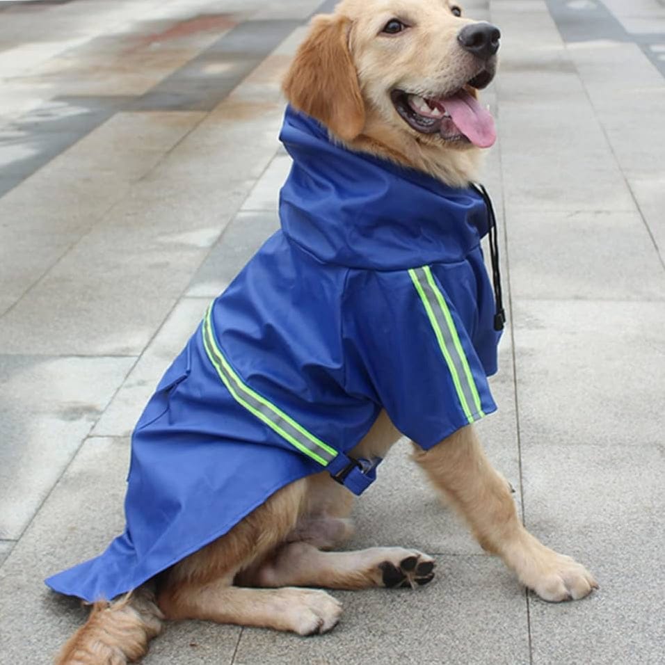 Waterproof Dog Raincoat — Dry & Comfortable Walks in Wet Weather