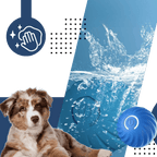 Smart Obstacle Avoidance Dog Ball — Endless Fun, Zero Hassle