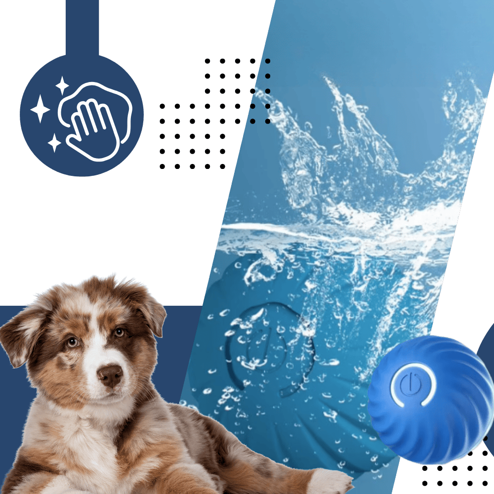 Smart Dog Ball – Obstacle Avoidance Play