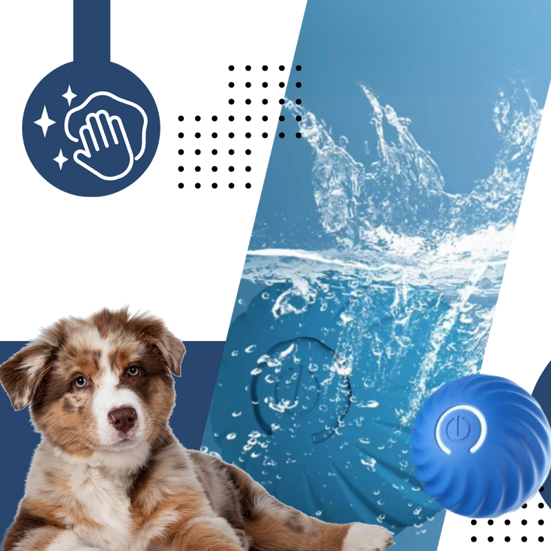 Smart Obstacle-Avoidance Dog Ball – Endless Fun, Zero Hassle
