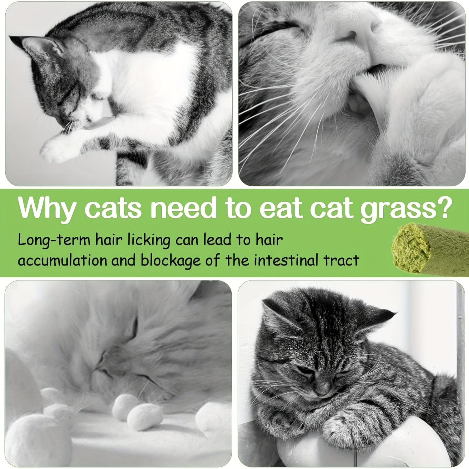 Cat Grass Chew Sticks — Natural Chewing Support for Cats