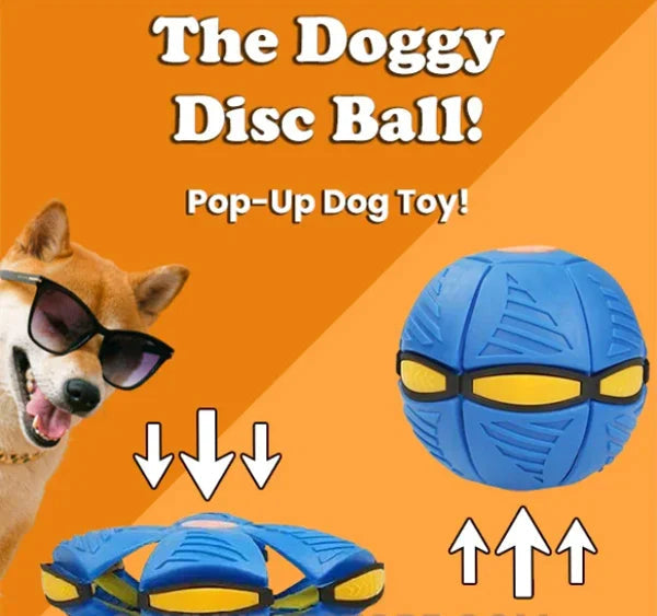 Doggy Disc Ball – 2-in-1 Interactive Fun for Dogs of All Sizes