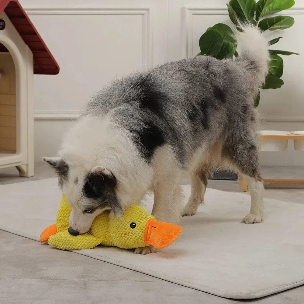 Calming Duck Dog Toy – Quack & Comfort Fun