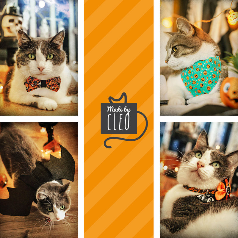 Gothic Halloween Bow Tie Cat Collar – Black & Orange