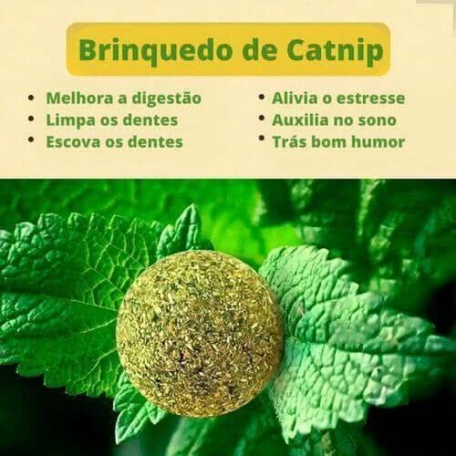 Avocado Catnip Cat Toy — Natural Herb Stimulates Play and Hunting Instinct
