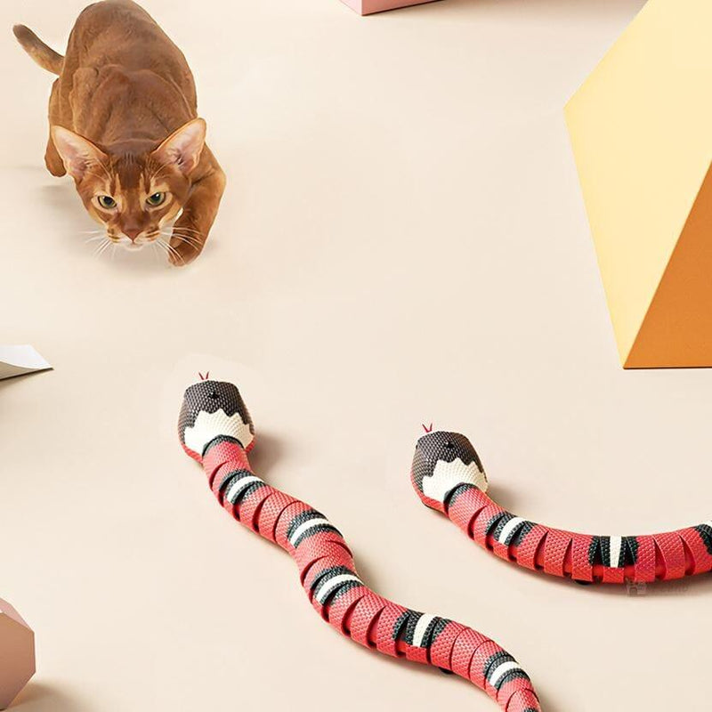 Interactive Snake Cat Toy – Realistic Hunting Fun for Active Cats
