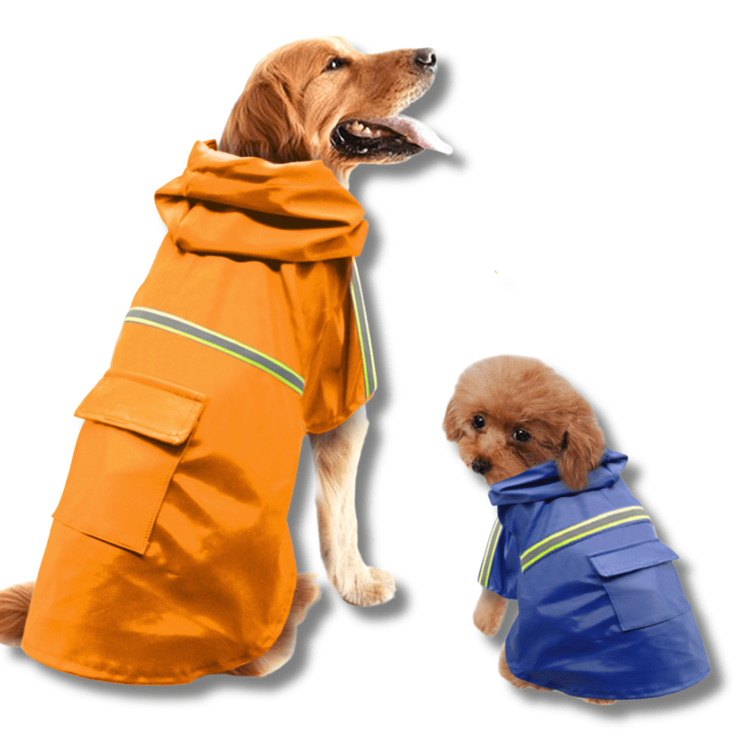 Waterproof Dog Raincoat — Dry & Comfortable Walks in Wet Weather