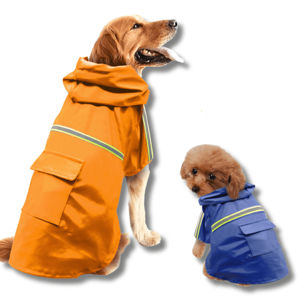 Waterproof Dog Raincoat – Walks Made Easy, Rain or Shine