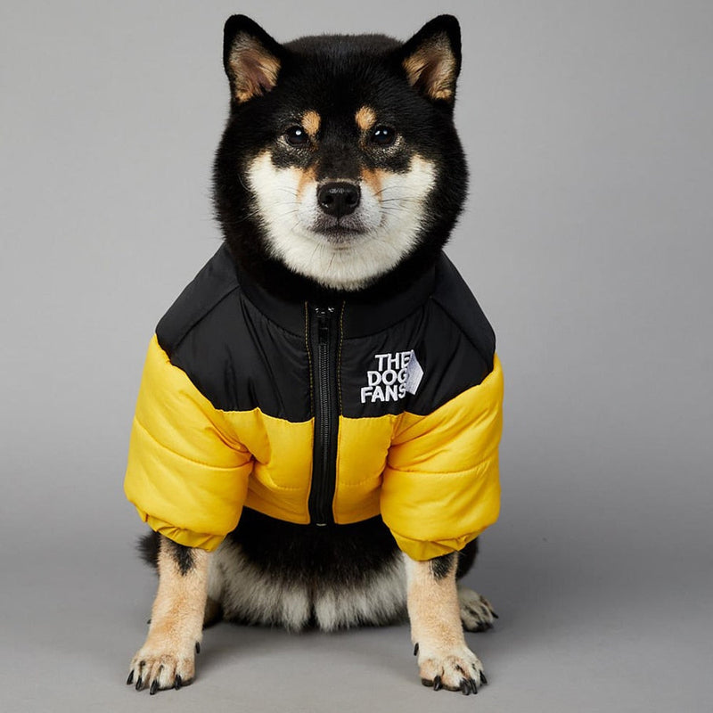 The Dog Fans Thermal Jacket – Keep Your Dog Warm in Style