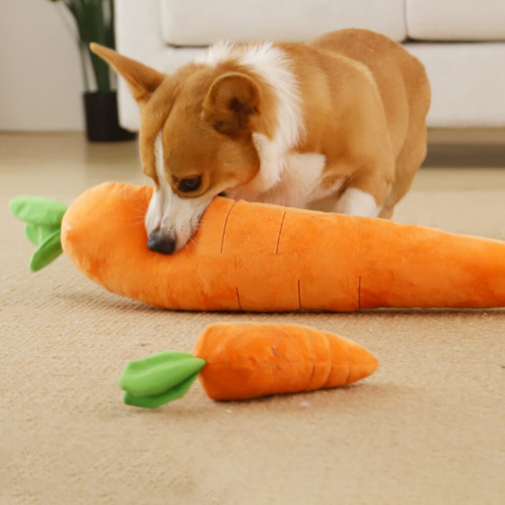 Squeaky Plush Carrot Dog Toy — Soft Interactive Play for Dogs