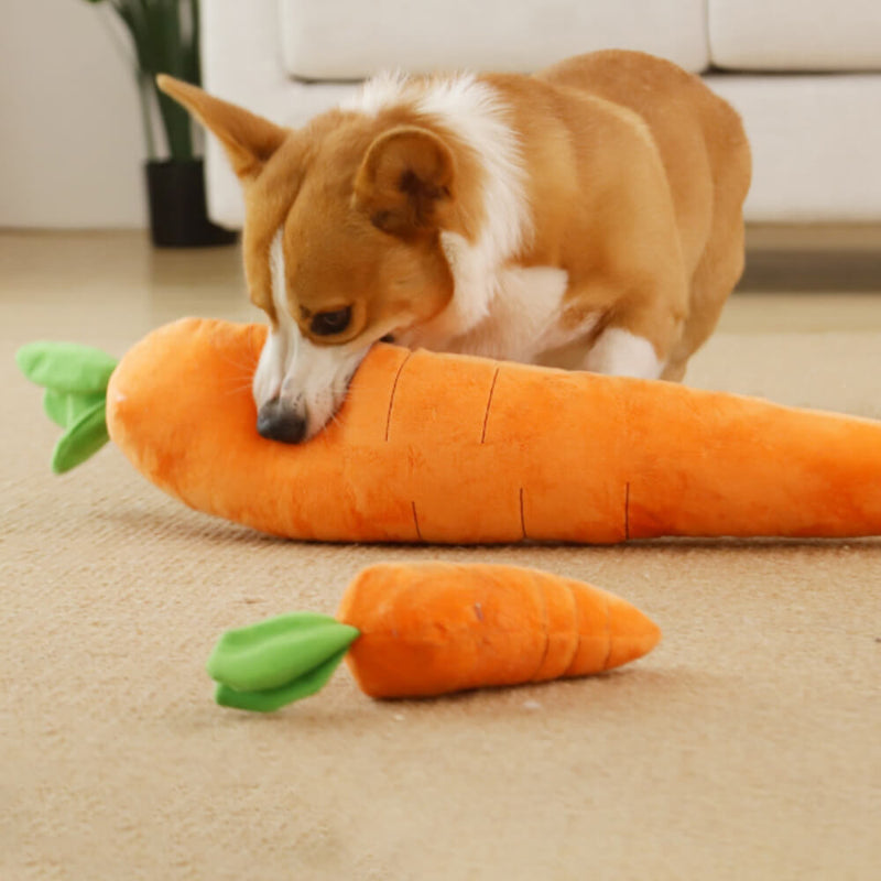 Carrot Squeaky Plush Dog Toy – Interactive Fun for Happy Pups