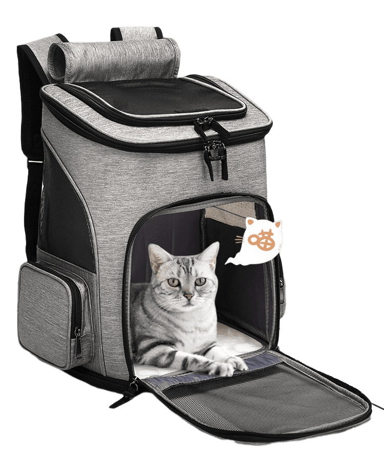 Expandable Cat Carrier Bag – Large Travel Carrier for Cats