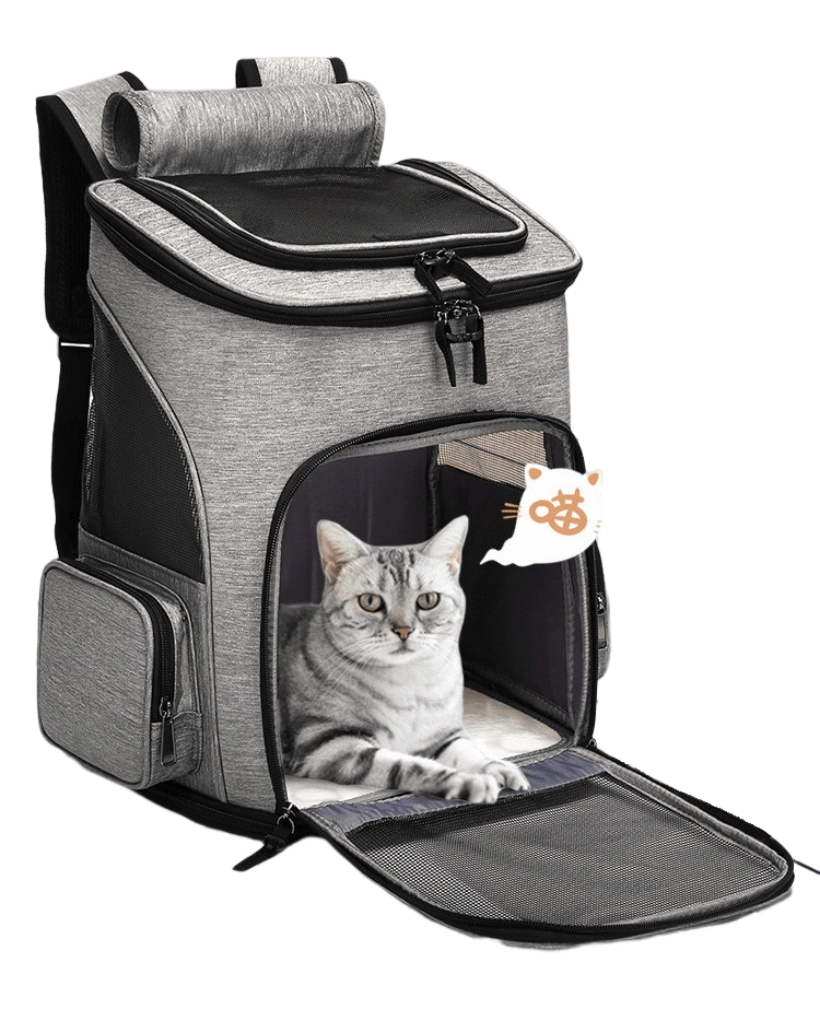 Expandable Cat Carrier Bag