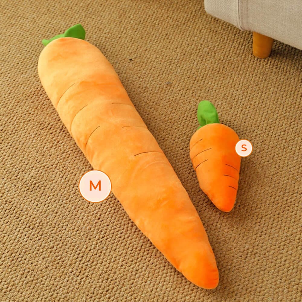 Squeaky Plush Carrot Dog Toy — Soft Interactive Play for Dogs