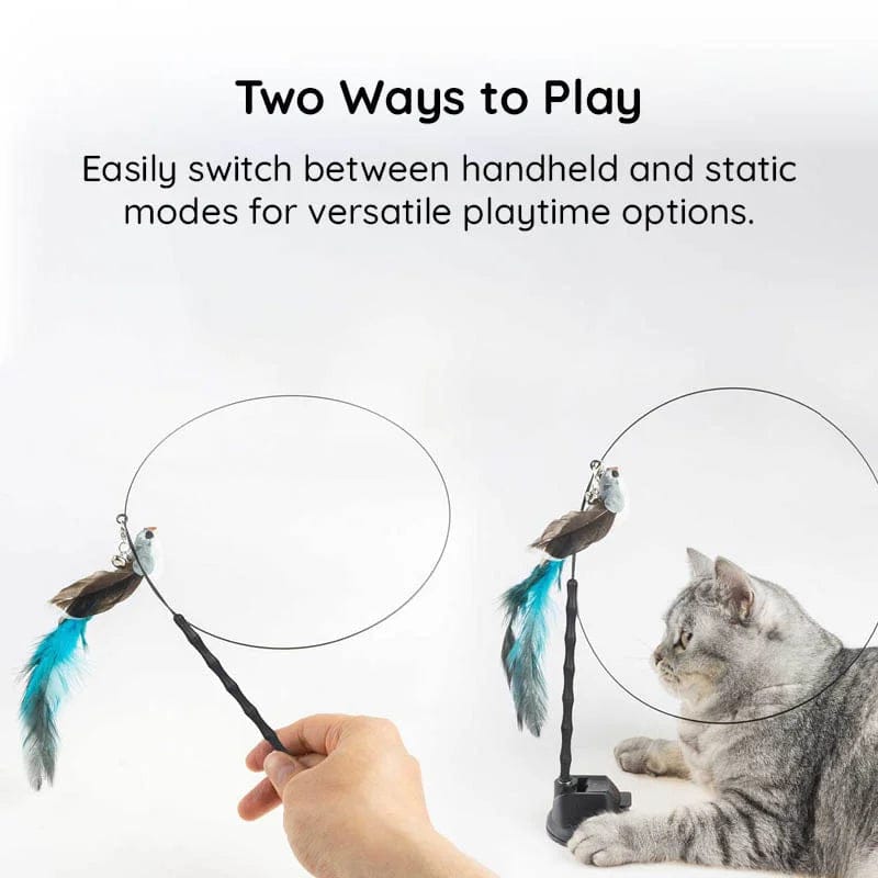 Cat Wand Toy Set – Interactive Feather and Bell Teaser Toys for Cats