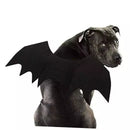 Bat Pet Costume – Fun & Comfy Halloween Wings for Dogs and Cats