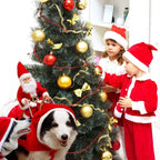 The Hilarious Riding Santa Dog Costume