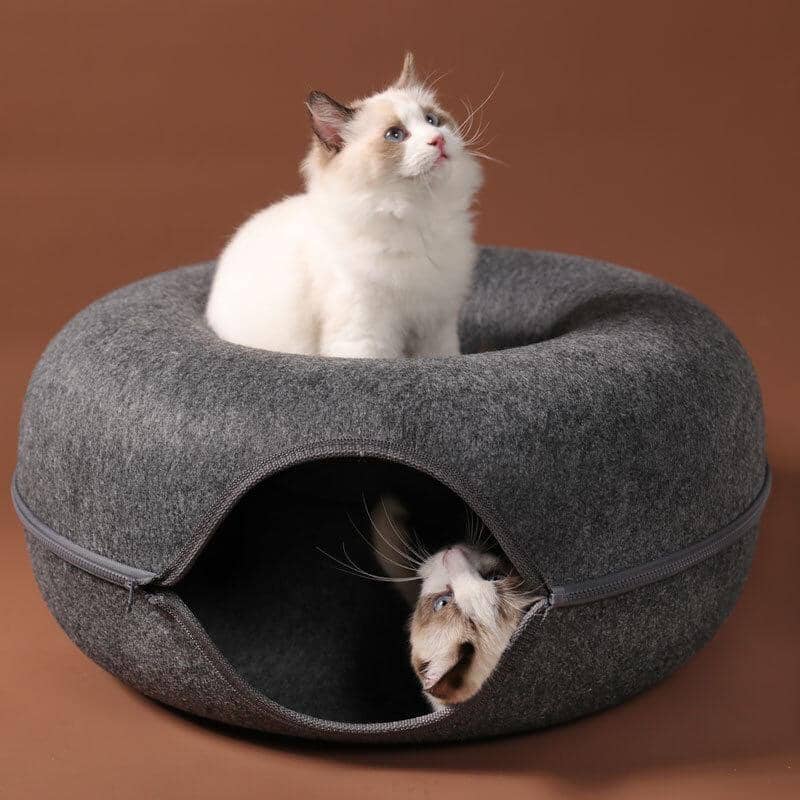 Cama Interativa Túnel para Gatos – Descanso e Diversão em Um Só Produto Túnel caminha para gatos Madrupet 
