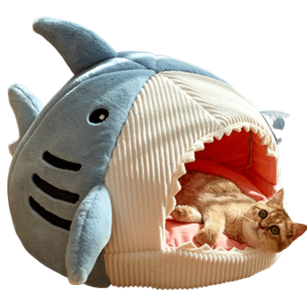 Cama Toca Tubarão para Pets – Aconchego, Estilo e Diversão Paipet Madrupet Azul M (45x42x32cm) 