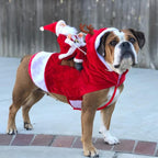 The Hilarious Riding Santa Dog Costume