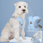 Dog harness and leash set showing D-ring attachment and comfortable fit