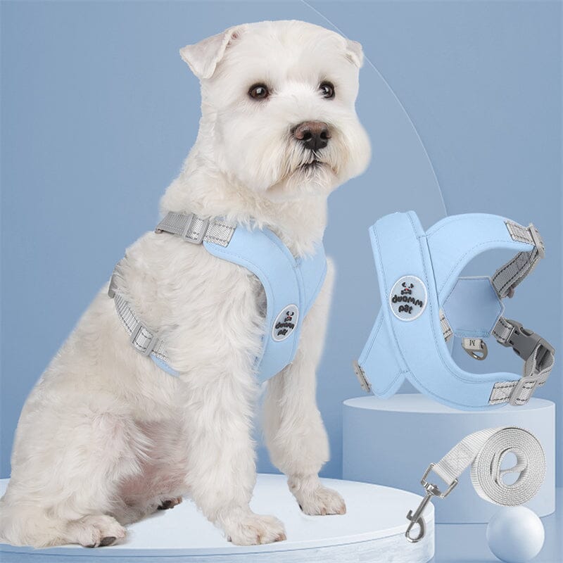 Coleira Peitoral e Guia para Cães e Gatos – Kit Completo Madrupet 