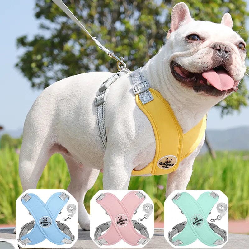 Coleira Peitoral e Guia para Cães e Gatos – Kit Completo Madrupet 