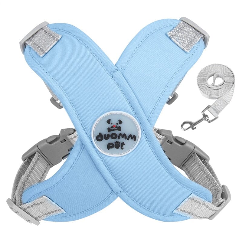 Coleira Peitoral e Guia para Cães e Gatos – Kit Completo Madrupet Azul P 