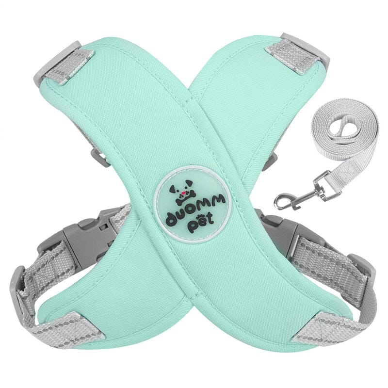 Green no-pull harness and leash set in small size for puppies