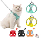 Orange harness and leash showing metal D-ring detail
