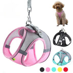 Yellow no-pull dog harness with leash on white background