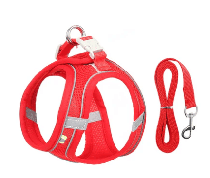 Coleira Peitoral para Cães e Gatos - Conforto e Segurança Madrupet PPP - 1 a 2 Kg Vermelho 